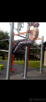 Hrazda stupňovitá na Workout - 3