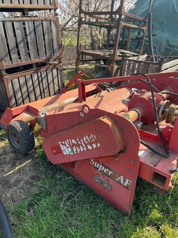 Maschio super AF - 3