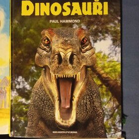 3 knihy  Zvířata, Dinosauři, Robin Hood - 3