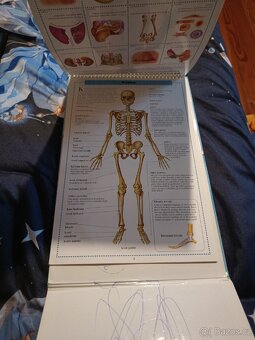 Neuvěřitelné lidské tělo - 3