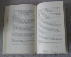 Nabízím Vera Ferra-Mikurová: MOJE VELKÁ PŘÍTELKYNĚ - 3