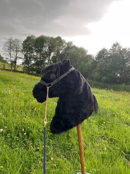 Hobby horse - 3