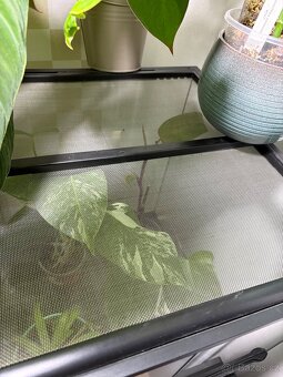 Terárium exoterra 45x45x45cm - 3