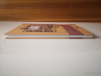 Peníze v českých zemích do roku 1919 - 3