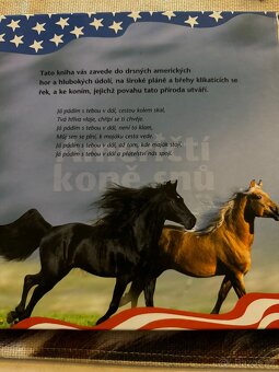Američtí koně snů - 3