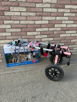 Invalidní vozíček pro psa - 3