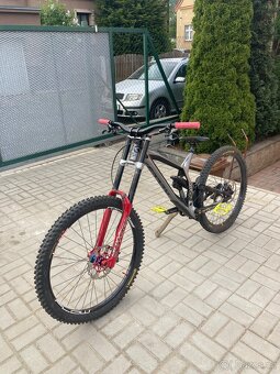 Kellys noid - 3