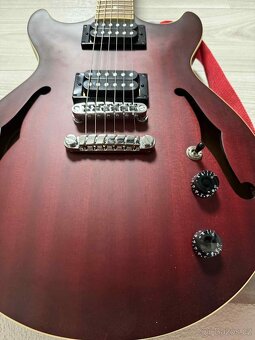 Prodám kytaru ze série Ibanez Artcore - 3