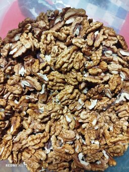 Vlašské ořechy - 3