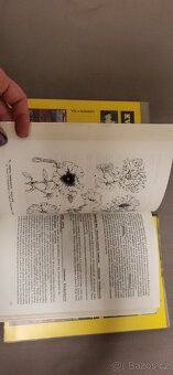 Květinářství  Vít a kolektiv - 3