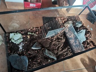 Terárium / akvárium / želvárium - 3