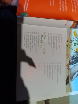 Korela cockatiel - 3