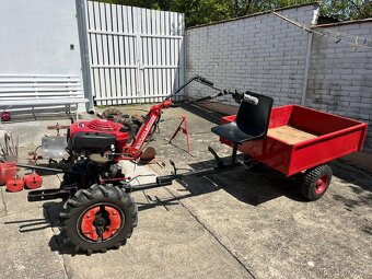 Tera Honda - 3