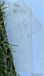 kapota škoda superb 3 - 3