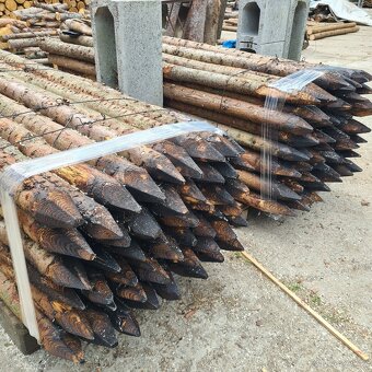 Kůly na oplocení - modřín  - 3