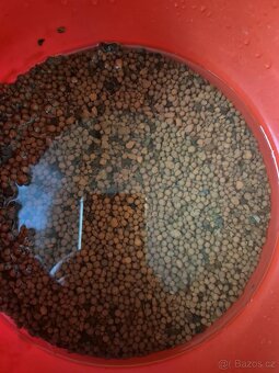 Prodám akvárko 30 li - 3