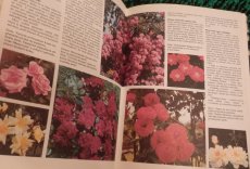 4 krásné publikace - 3