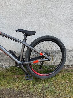 Kellys Whip 50 - 3
