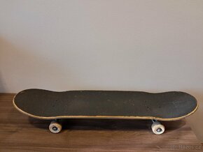 Scateboard Ambasadors - 3