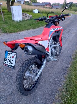 Honda CRF 300 L - 3