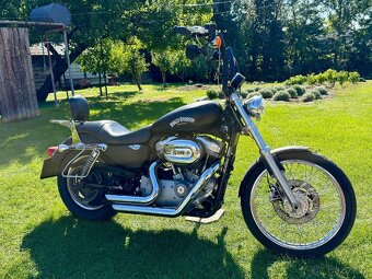 Harley Davidson Sportster 883 v TP 25 KW - 3