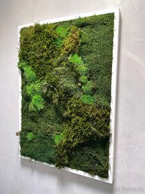 NOVÝ mechový "živý" obraz 50x70 cm, design, mech, Praha 4 - 3