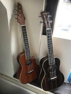 Akustické a el. ak. kytary a ukulele Sigma, LAG, Takamine 12 - 3