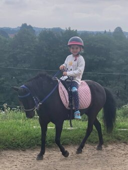 Černá kobylka pony - 3