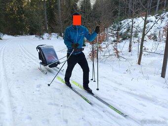 Thule Chariot Sport 1 - 3