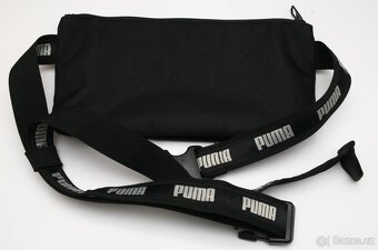 Ledvinka PUMA - 3