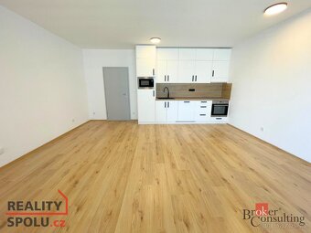Pronájem, byty/1+kk, 49 m2, Měděná 3061/2, Jižní Předměstí, - 3