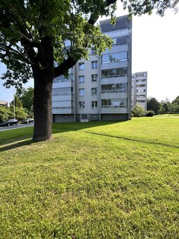 Pronájem bytu, u Kapličky, Orlová - 3