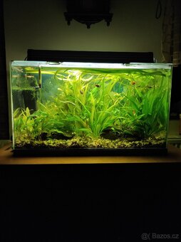 Akvarium 74x33x40  98L - 3