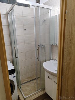 Pronájem bytu 3+1 - 3