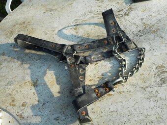 OHLÁVKA PRO KRÁVU - 3