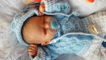 reborn kit Jesse Manga Collection - 3