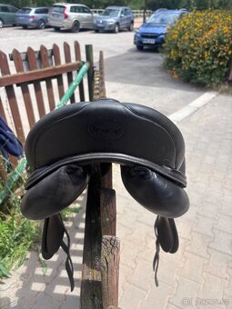 Prestige Lucky Dressage - 3