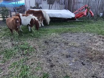 Sekačka Kuhn GMD700 - 3