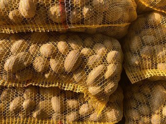 Přebytek ČESKÝCH BRAMBOR 6kč/kg - 3