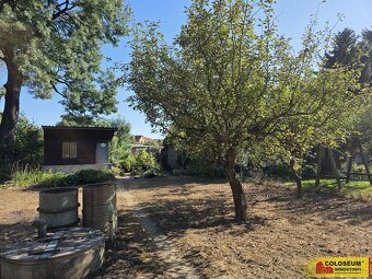 Veselí nad Moravou, studna, sklep, zahrada - chata - 3