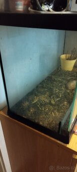 Prodám terárium 90x45x60 - 3