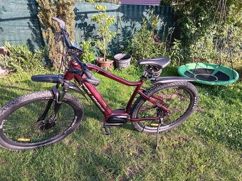 Crussis Largo 7,8 S - 3