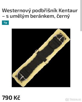 Western podbřišník kentaur - 3