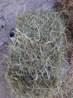 Seno malé balíky - 3