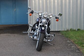 Harley-Davidson 1998 FLSTS Heritage Springer 95thAnniversary - 3