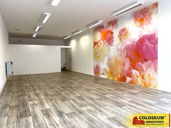 Veselí nad Moravou, pronájem komerčních prostor, 64m2, k pod - 3