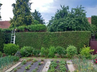 Zahradnické práce, úpravy a revitalizace zahrad - 3