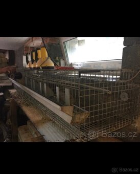 Klec na drůbež - 3