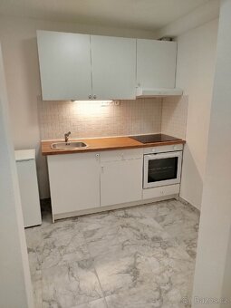 Pronájem 1+1 40m², Slovanská, Plzeň - 3