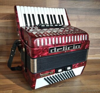Akordeon (harmonika, heligonka) Delicia Junior 72 basů - 3